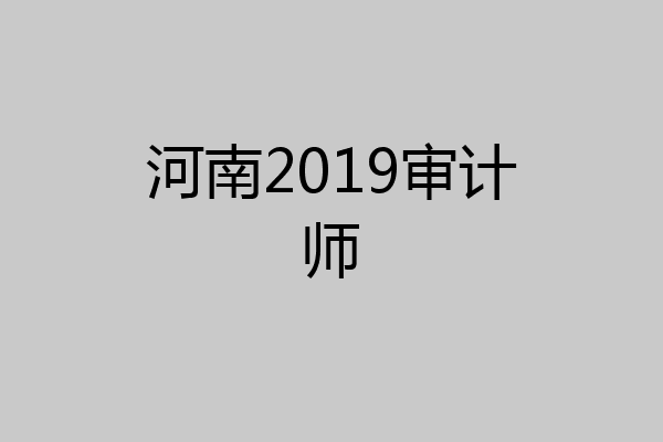 河南2019审计师