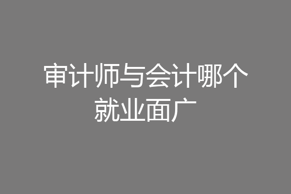 审计师与会计哪个就业面广