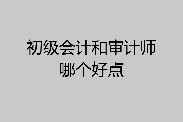 初级会计和审计师哪个好点