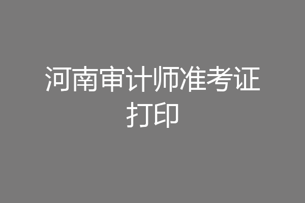 河南审计师准考证打印