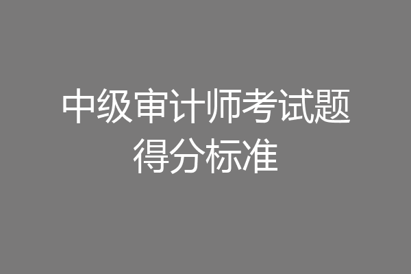 中级审计师考试题得分标准