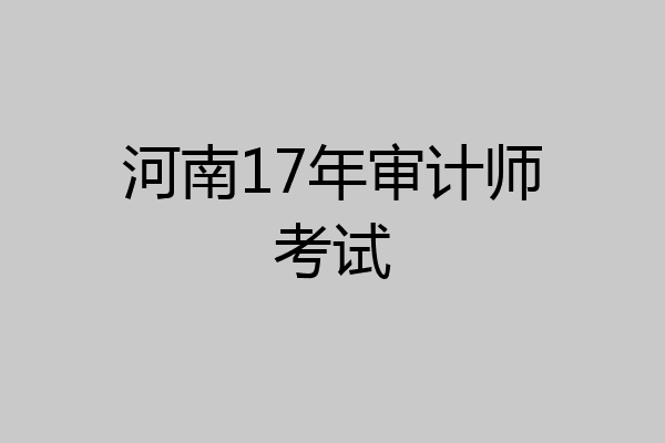 河南17年审计师考试