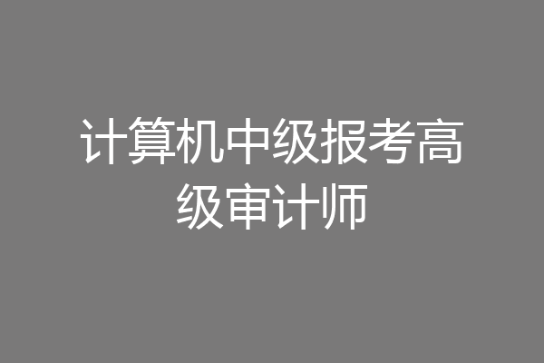 计算机中级报考高级审计师