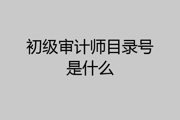 初级审计师目录号是什么