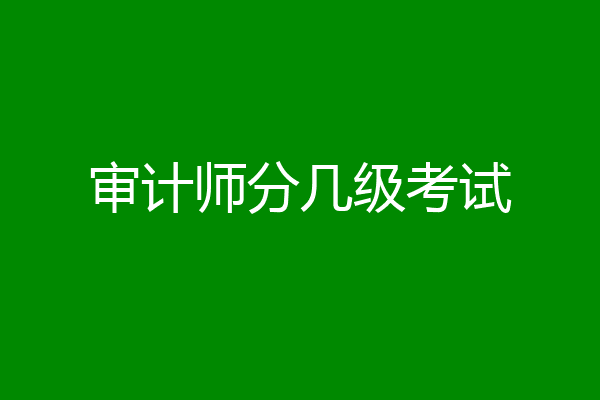 审计师分几级考试