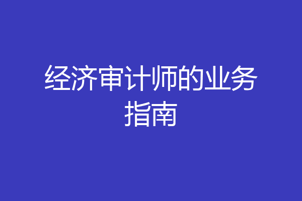 经济审计师的业务指南