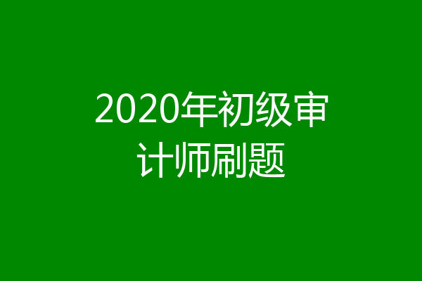 2020年初级审计师刷题