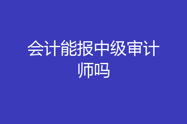 会计能报中级审计师吗