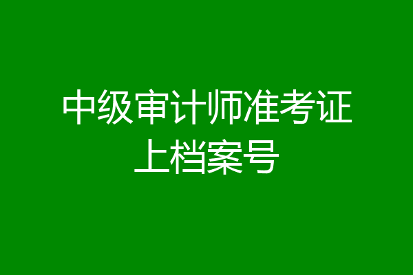 中级审计师准考证上档案号