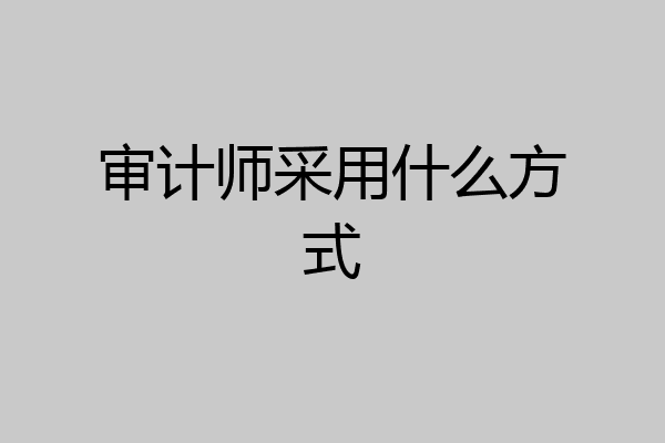 审计师采用什么方式