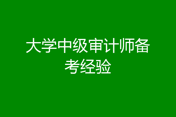 大学中级审计师备考经验