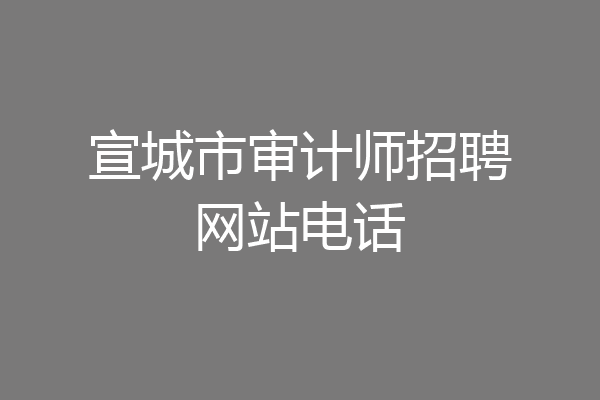 宣城市审计师招聘网站电话