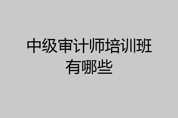 中级审计师培训班有哪些