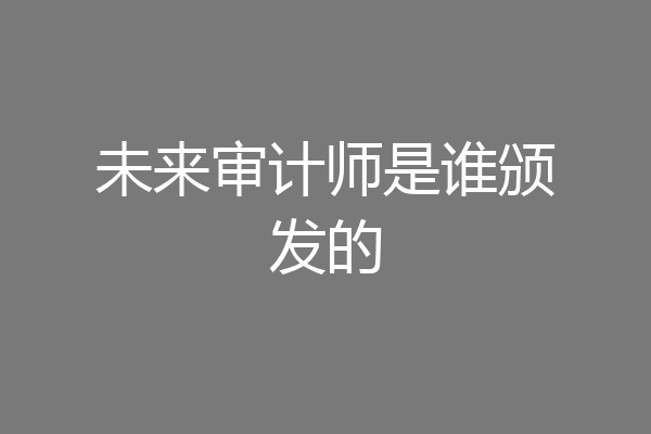 未来审计师是谁颁发的