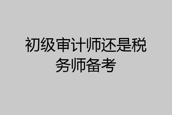 初级审计师还是税务师备考