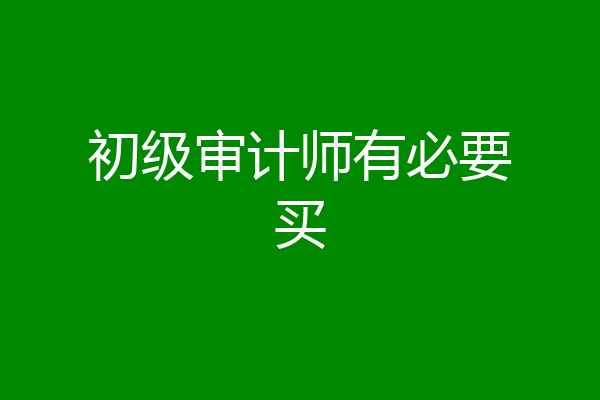 初级审计师有必要买