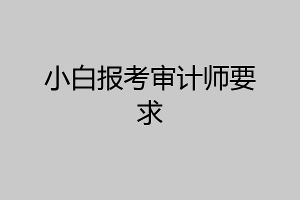 小白报考审计师要求
