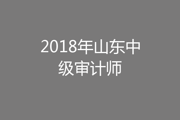 2018年山东中级审计师