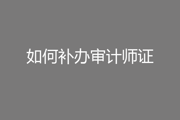如何补办审计师证