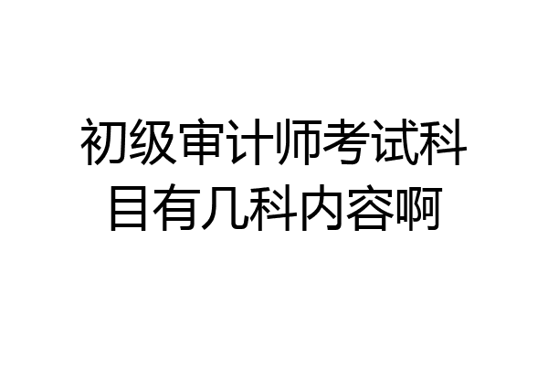 初级审计师考试科目有几科内容啊