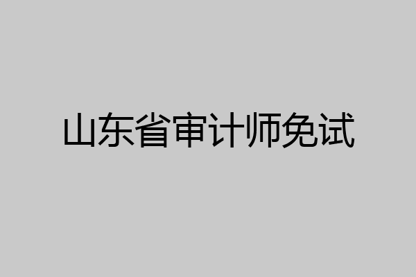 山东省审计师免试