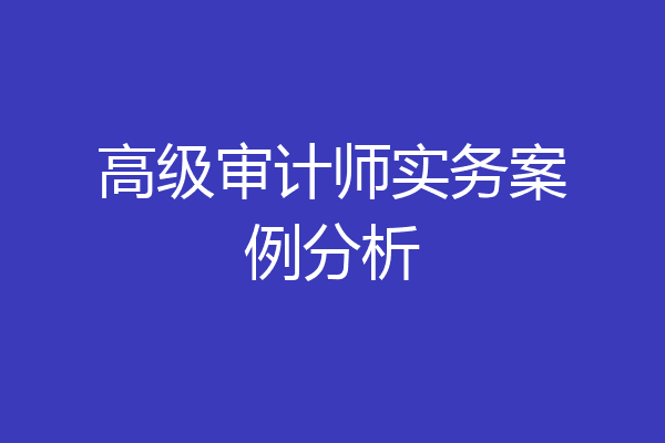 高级审计师实务案例分析