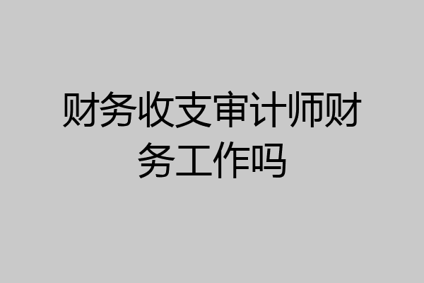 财务收支审计师财务工作吗