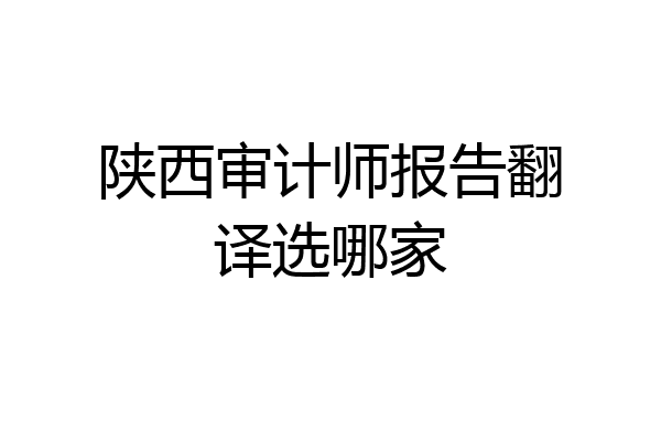 陕西审计师报告翻译选哪家