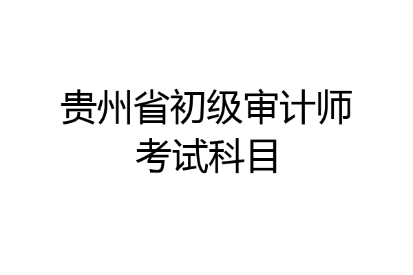 贵州省初级审计师考试科目