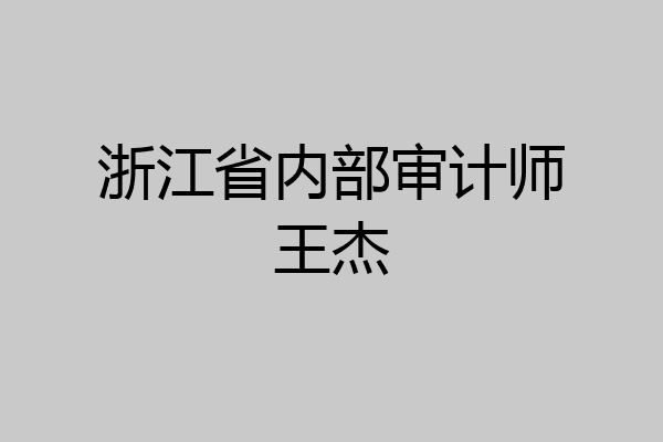 浙江省内部审计师王杰