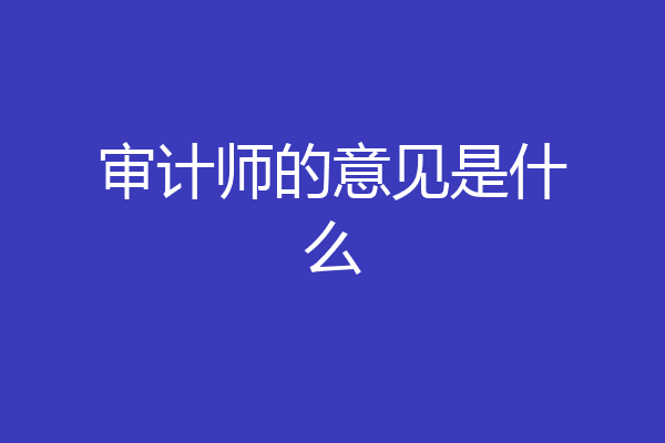 审计师的意见是什么
