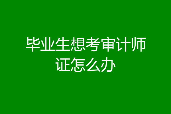 毕业生想考审计师证怎么办