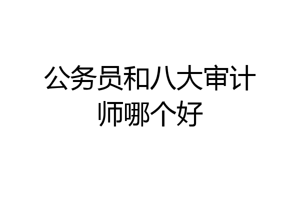 公务员和八大审计师哪个好