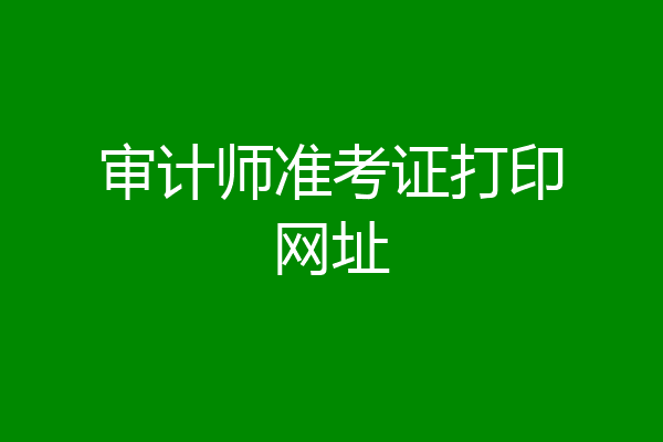 审计师准考证打印网址