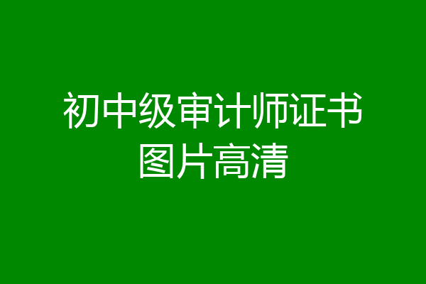 初中级审计师证书图片高清
