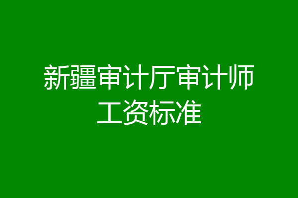 新疆审计厅审计师工资标准