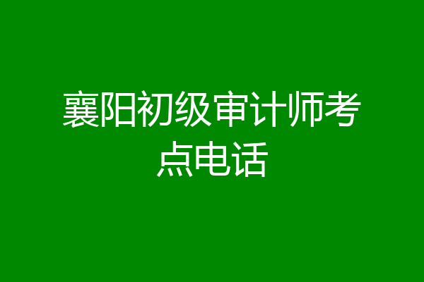 襄阳初级审计师考点电话