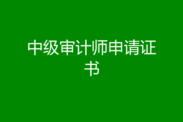 中级审计师申请证书