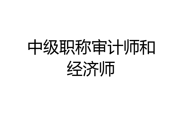 中级职称审计师和经济师