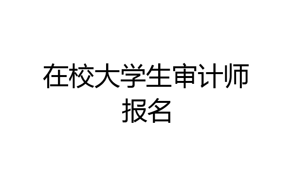 在校大学生审计师报名