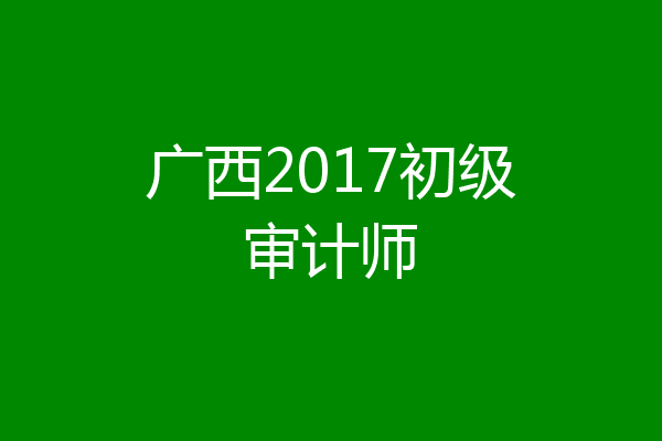 广西2017初级审计师