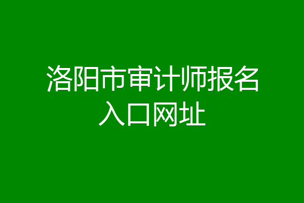 洛阳市审计师报名入口网址