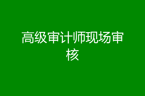 高级审计师现场审核