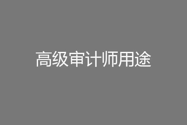 高级审计师用途