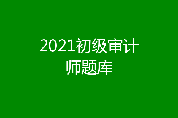 2021初级审计师题库