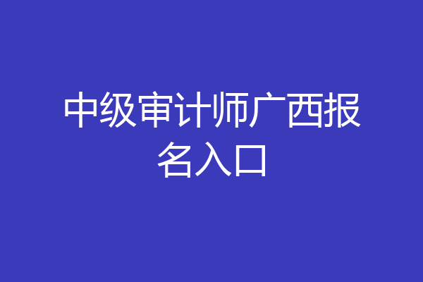中级审计师广西报名入口