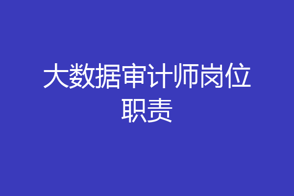 大数据审计师岗位职责