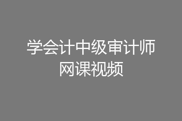 学会计中级审计师网课视频