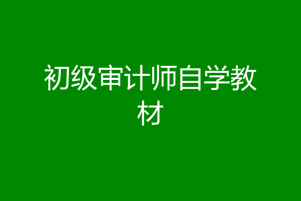 初级审计师自学教材