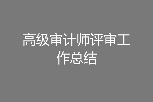 高级审计师评审工作总结
